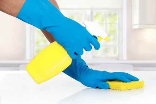 Secure Carpetcleaning Chiswick payment area with SSL protection