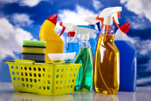 Professional carpet cleaning service in a Chiswick home living room