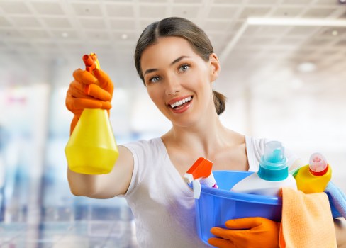 Image 2 showing supplier risk review in a carpet cleaning business