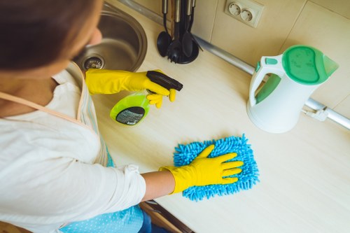 Regular home cleaning for a family property near Chiswick High Road