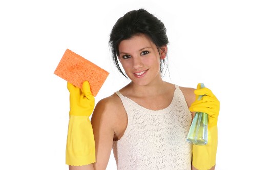 Weekly and fortnightly cleaning support for Chiswick households and businesses