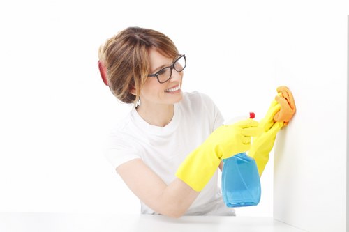 Bathroom move out cleaning with limescale and surface care in Chiswick