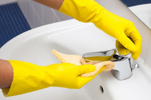 Thorough pre-move cleaning for a home in Chiswick